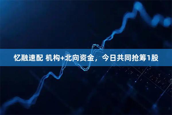 忆融速配 机构+北向资金，今日共同抢筹1股