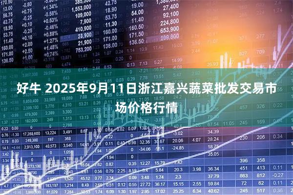 好牛 2025年9月11日浙江嘉兴蔬菜批发交易市场价格行情