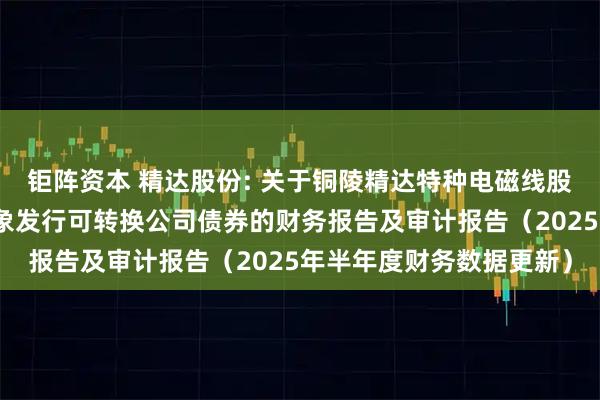 钜阵资本 精达股份: 关于铜陵精达特种电磁线股份有限公司向不特定对象发行可转换公司债券的财务报告及审计报告(2025年半年度财务数据更新)