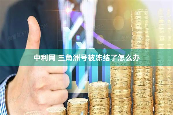 中利网 三角洲号被冻结了怎么办