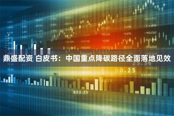 鼎盛配资 白皮书:中国重点降碳路径全面落地见效