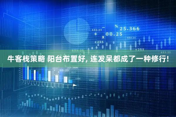 牛客栈策略 阳台布置好, 连发呆都成了一种修行!